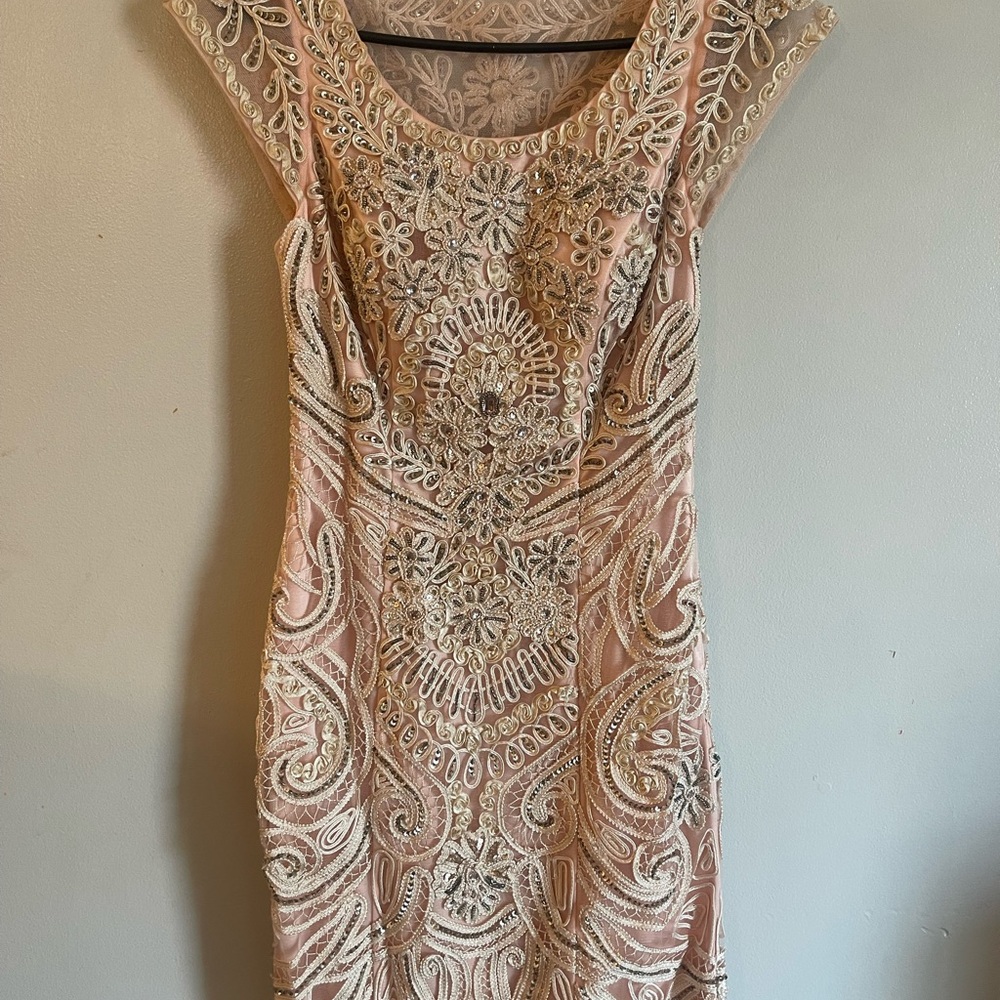 Sue Wong Pink Embroidered Gown